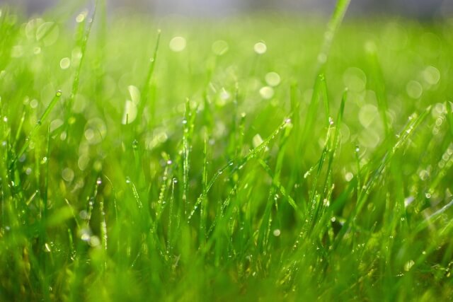 遠出をしてでも通いたくなる地域の練習場の魅力